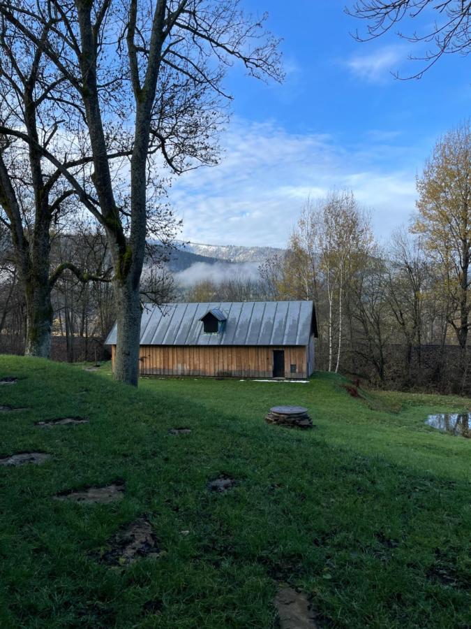 Apartman Pod Jasanem Hojsova Straz Brcalnik Daire Železná Ruda Dış mekan fotoğraf